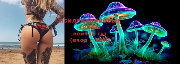 MESCALINE Гусиноозёрск
