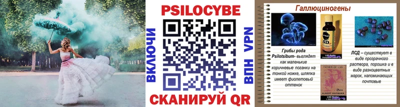Галлюциногенные грибы Psilocybe Невьянск
